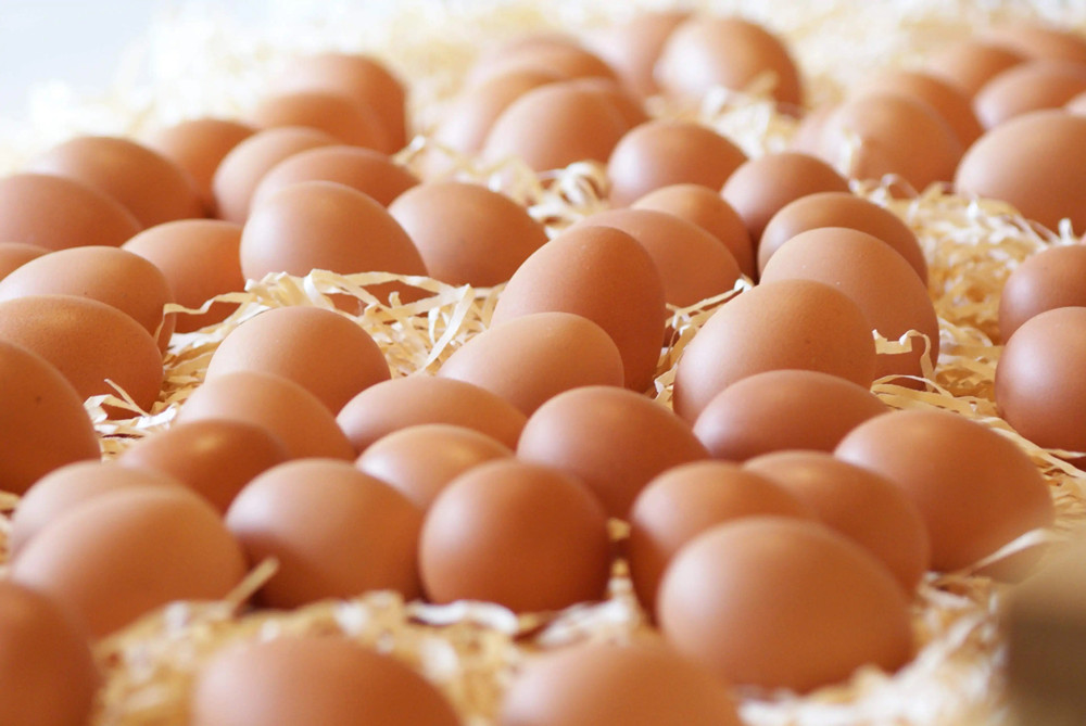 人造鸡熟蛋怎么分辨真假,怎么区别人造蛋和鸡生蛋