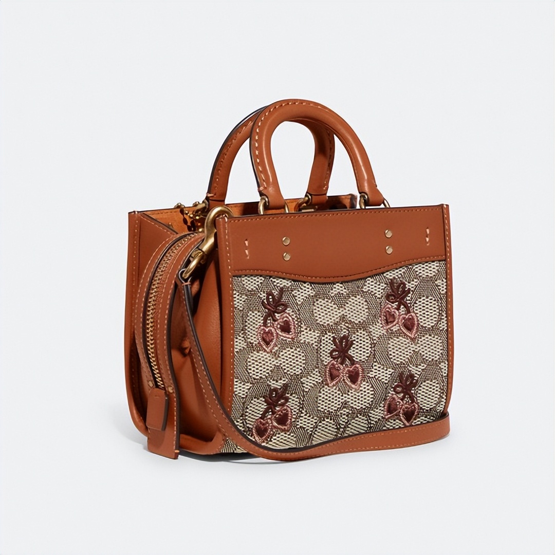 coach2022新款包,coach2022新款包包