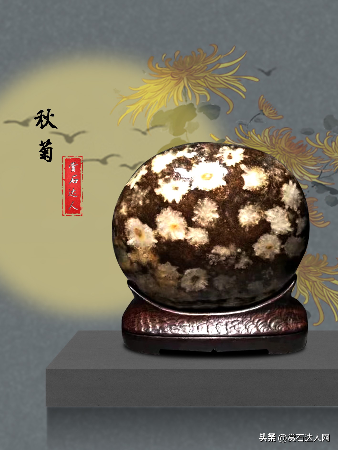 难得一见的自然极品奇石,十大传世精品奇石图片