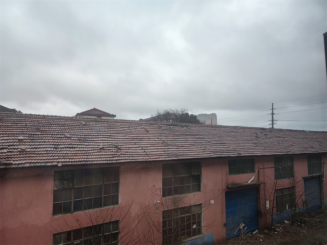 星特朗增倍镜10x,入门级星特朗天文望远镜高倍高清