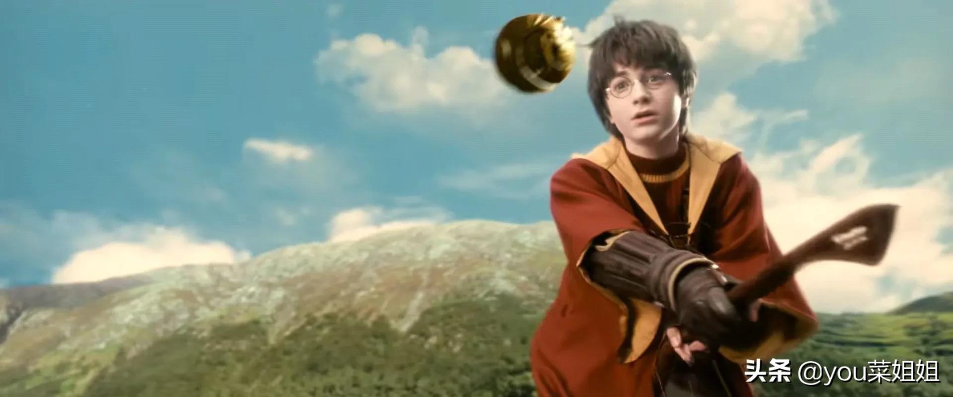 哈利波特为什么不治疗斯内普,哈利波特为什么不救斯内普