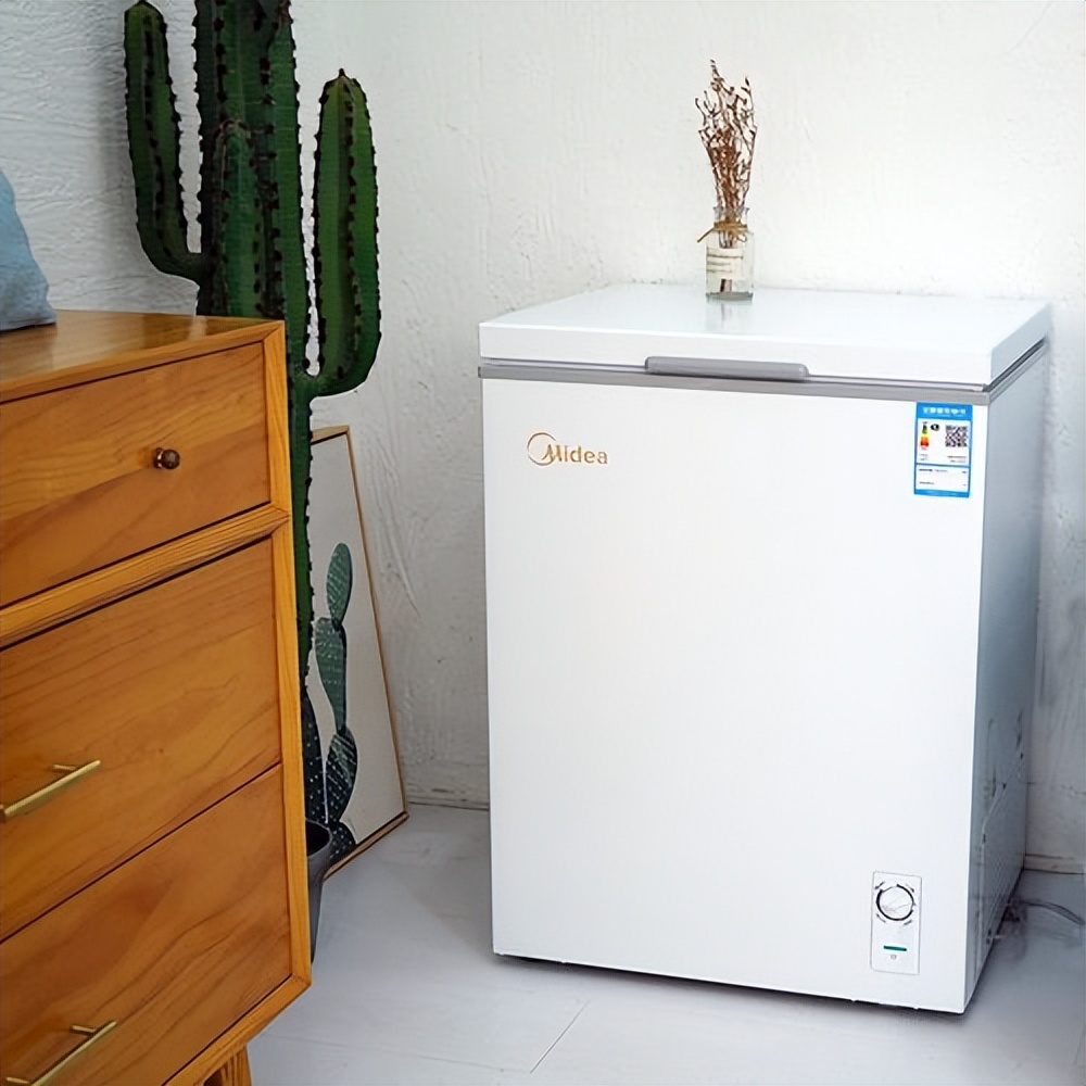 冰柜真的有必要吗,冰柜使用感受