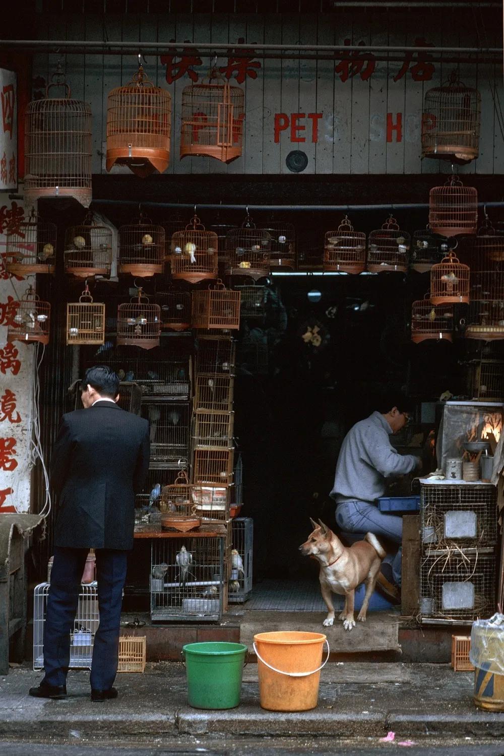 信息差无处不在，老掉牙的小骗术都有人上当？