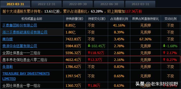 国家队重仓股名单,国家队重仓股名单最新