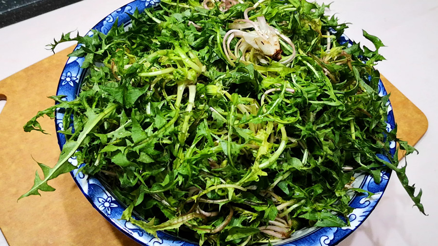 护肝冠军,藏在草丛里的护肝冠军全身是宝