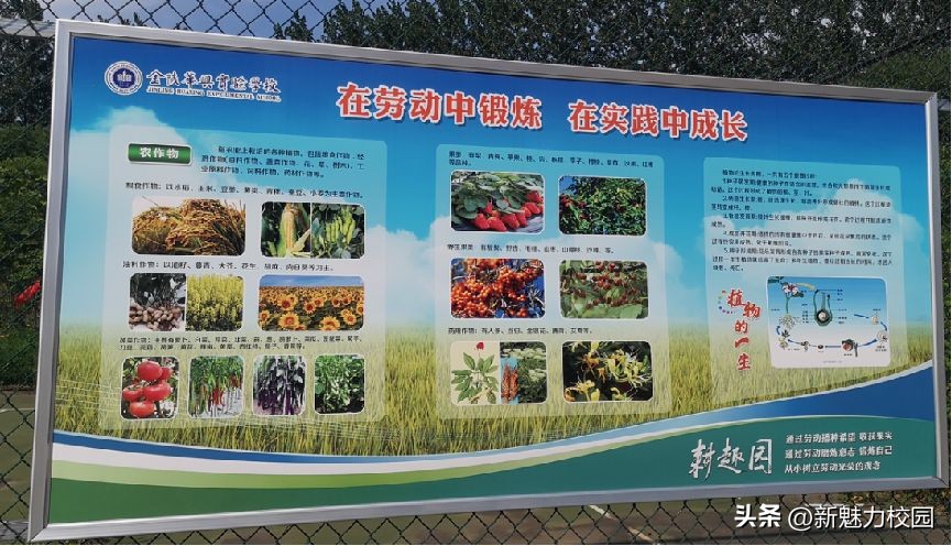 金陵华兴校区,金陵华兴