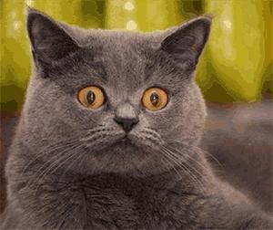 南京火灾抓到凶手了吗,南京某小区起火事件