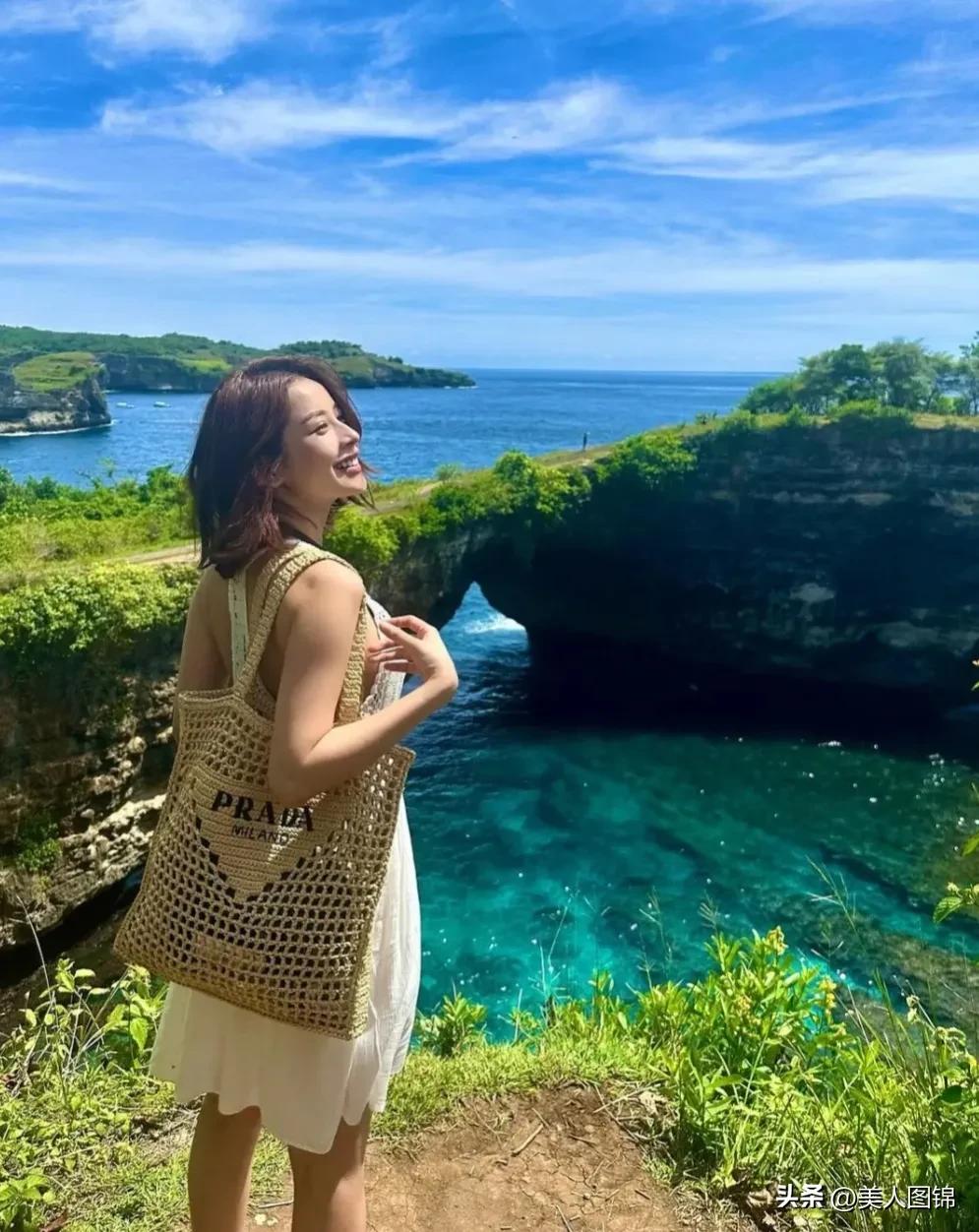 越南芝芙,芝芙越南