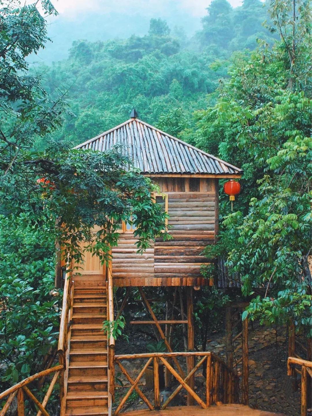 清远九州驿站树上温泉是真的吗,清远九州驿站