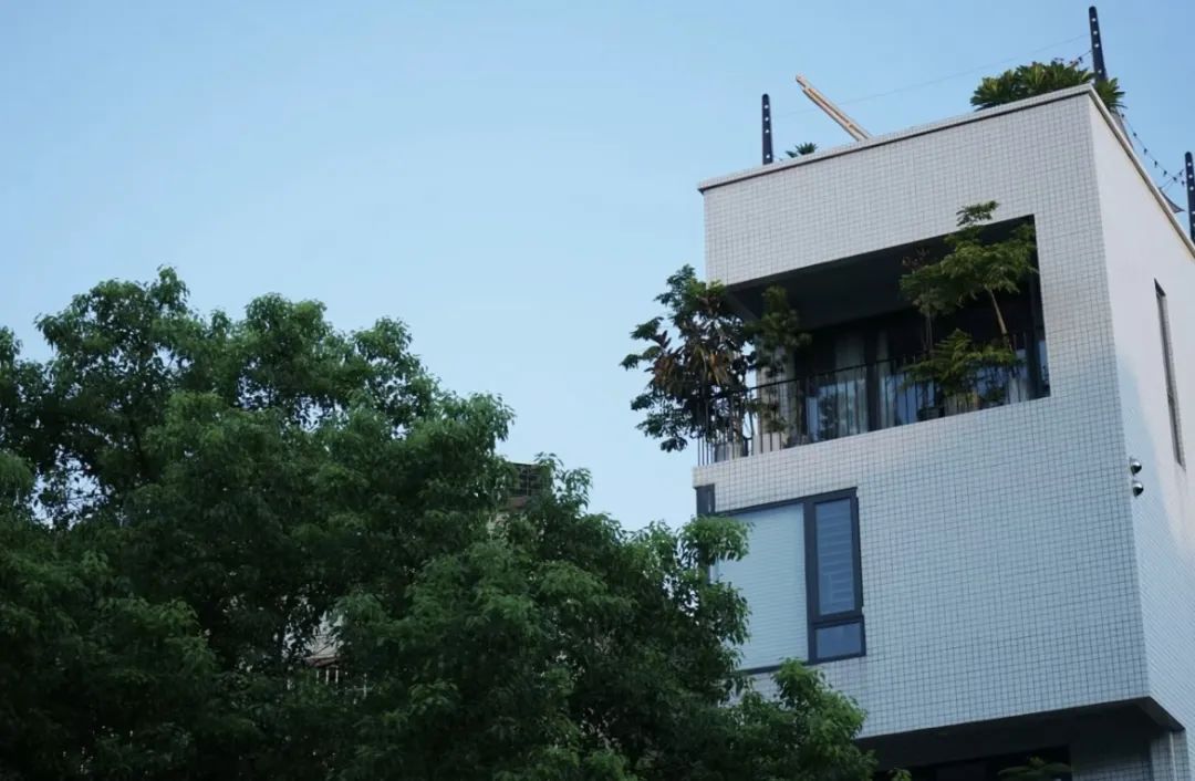 四个人回老家改造老房子,90后回农村建房子视频