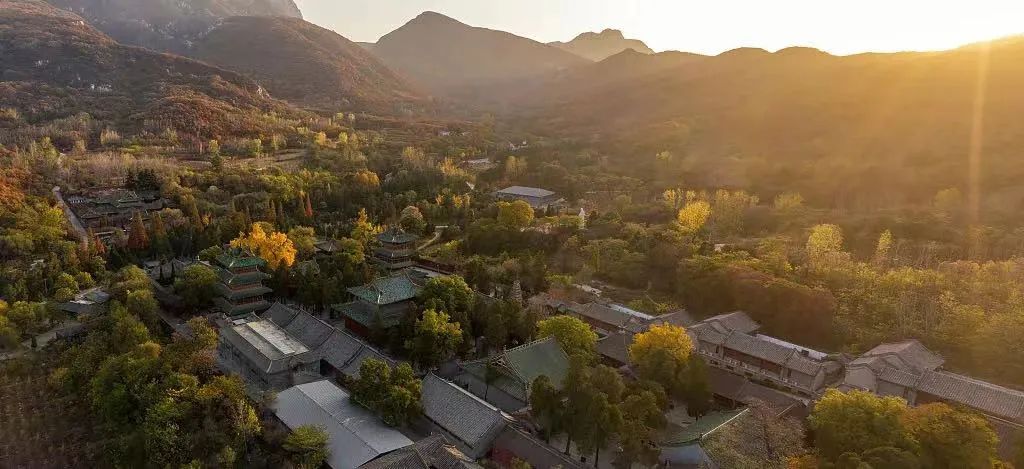 每年收入高达1000万英镑？试解少林寺的全球文旅版图