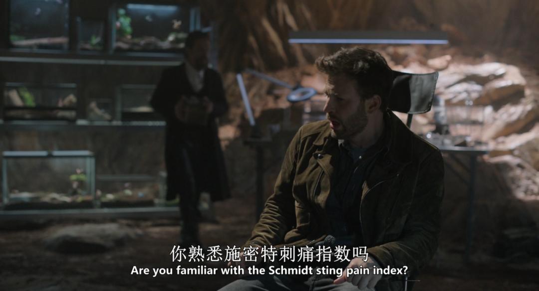 美队和邦女郎滚床单，这画面太美我不敢看