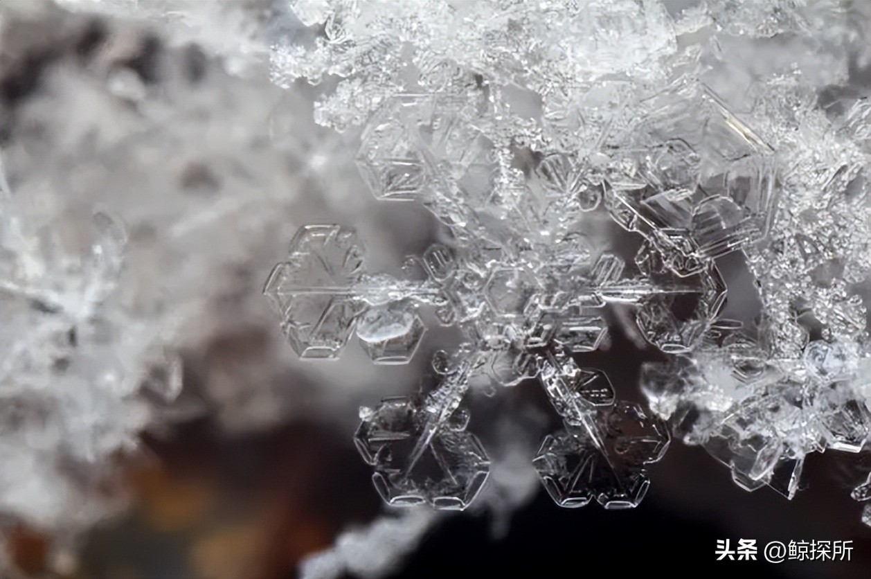 蜡在固液相界面上长时间结晶,降低了管道的通畅性,该如何应对