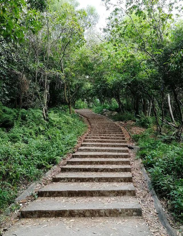 与春天撞个满怀的意思是什么,在棠梨湖公园邂逅春天