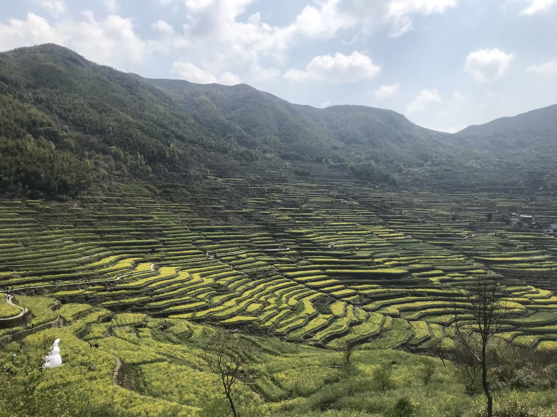 大众汽车集团旗下有哪些汽车品牌,大众汽车集团旗下有哪些品牌