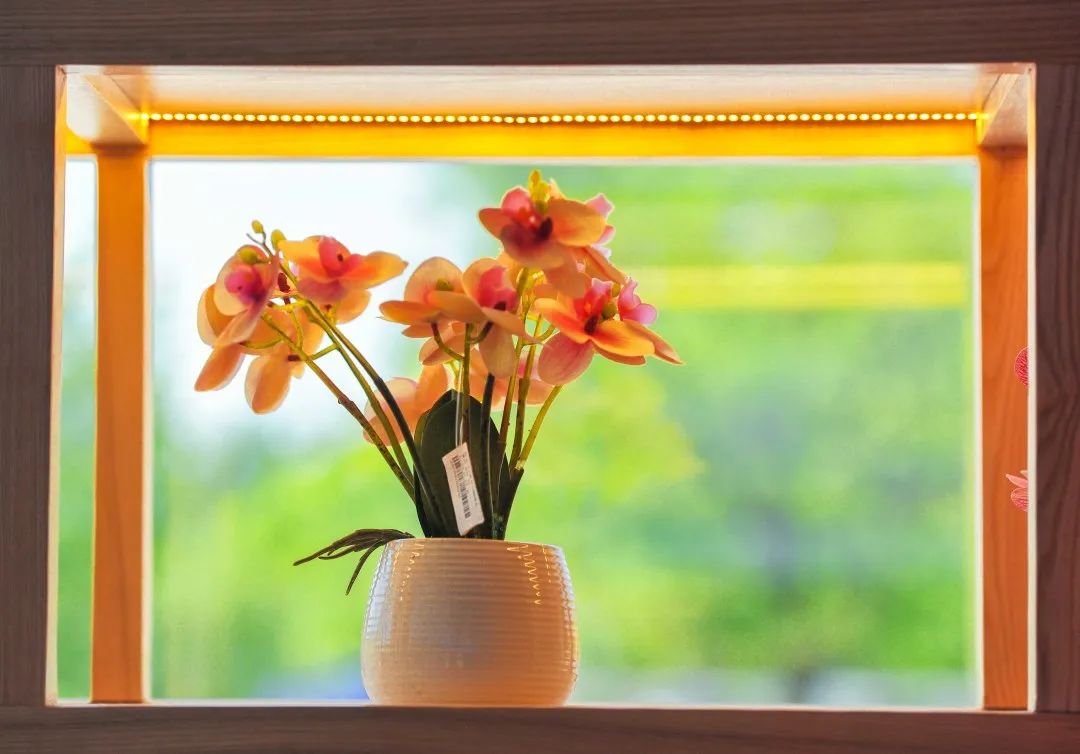 来都来了，不带点武清文创产品走么？