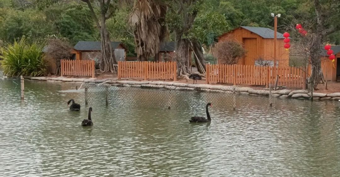 厦门值得住的酒店推荐,厦门旅游酒店测评