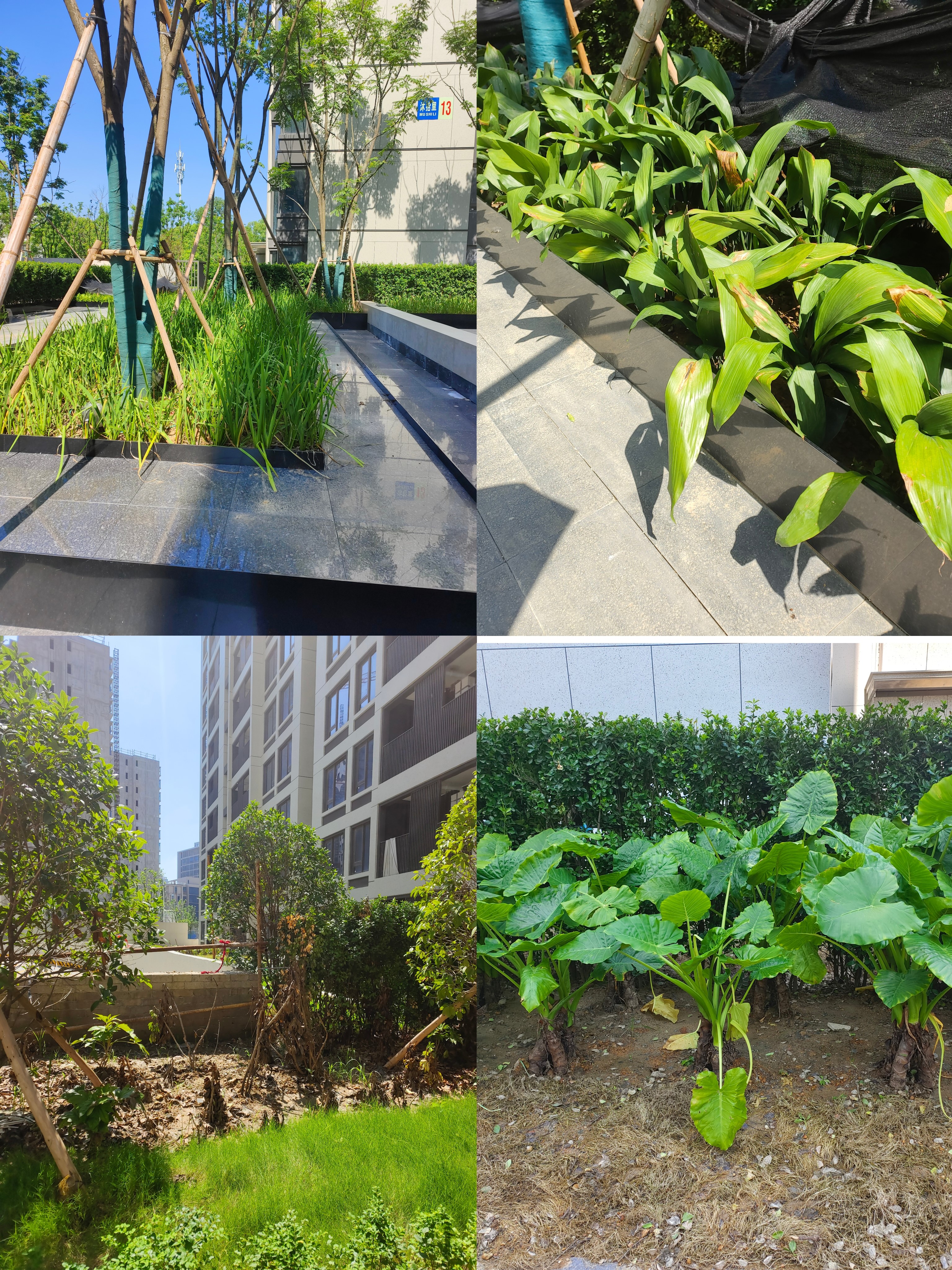 第一个里程碑,万科第一个壹号系列