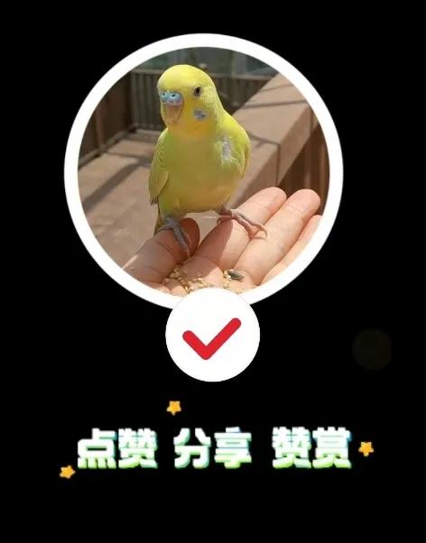 碧螺塔海上酒吧公园有表演吗,碧螺塔海上酒吧公园有必要去么