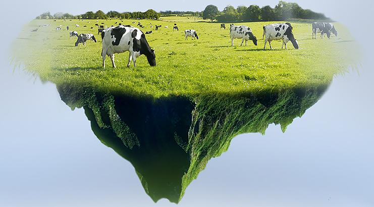 惠氏启赋蓝钻1段奶粉的优缺点,惠氏启赋蓝钻口感怎么样