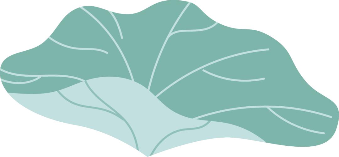 寿康宝鉴鉴赏,康寿宝鉴