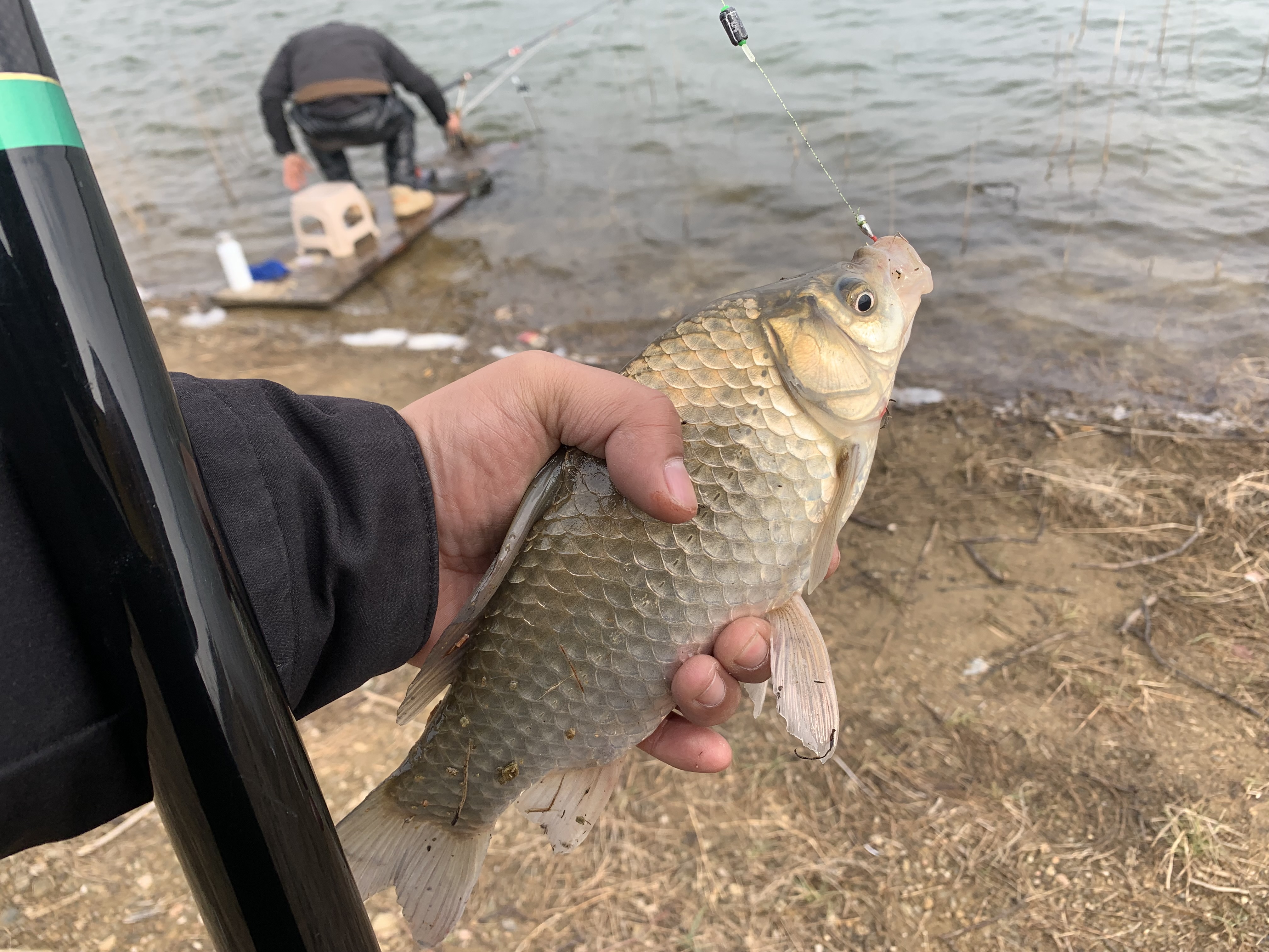 七星漂看不懂漂相怎么办,七星漂看不清怎么办