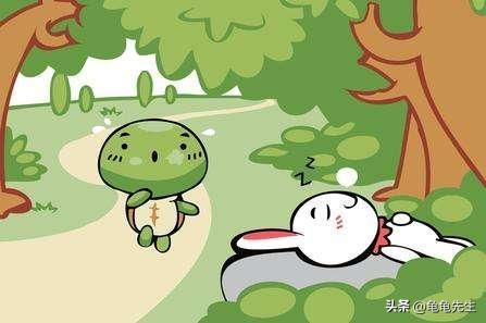 乌龟要怎么养才会养得更好,新手养乌龟的十条建议