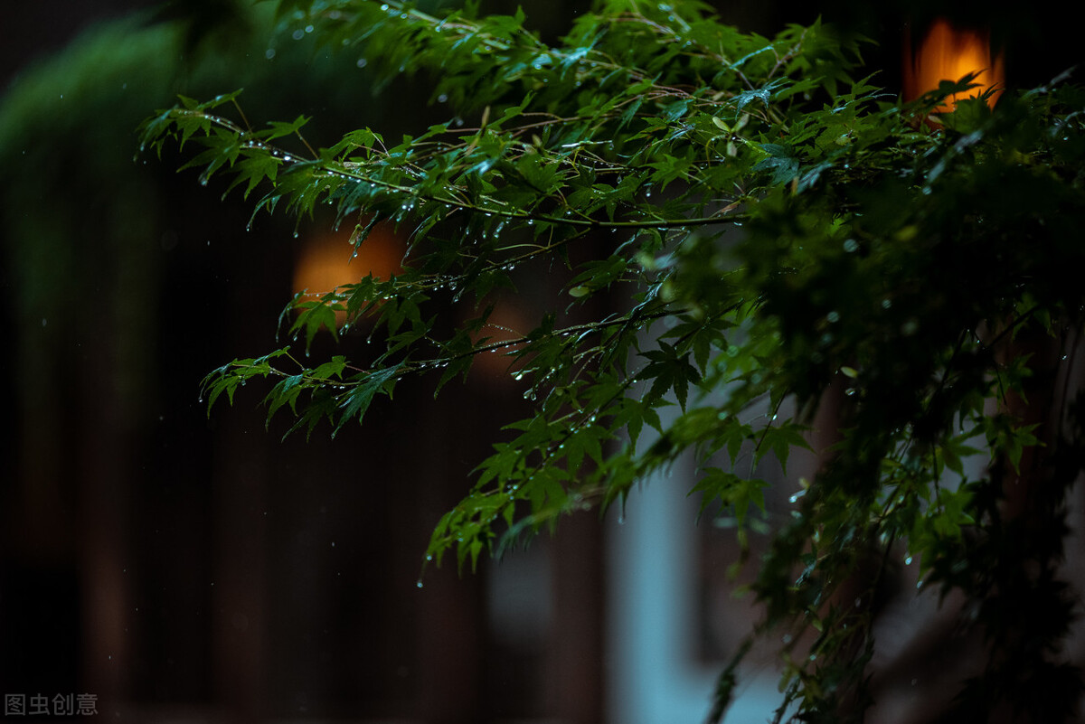 若有所思原唱,乌镇之恋深度解析