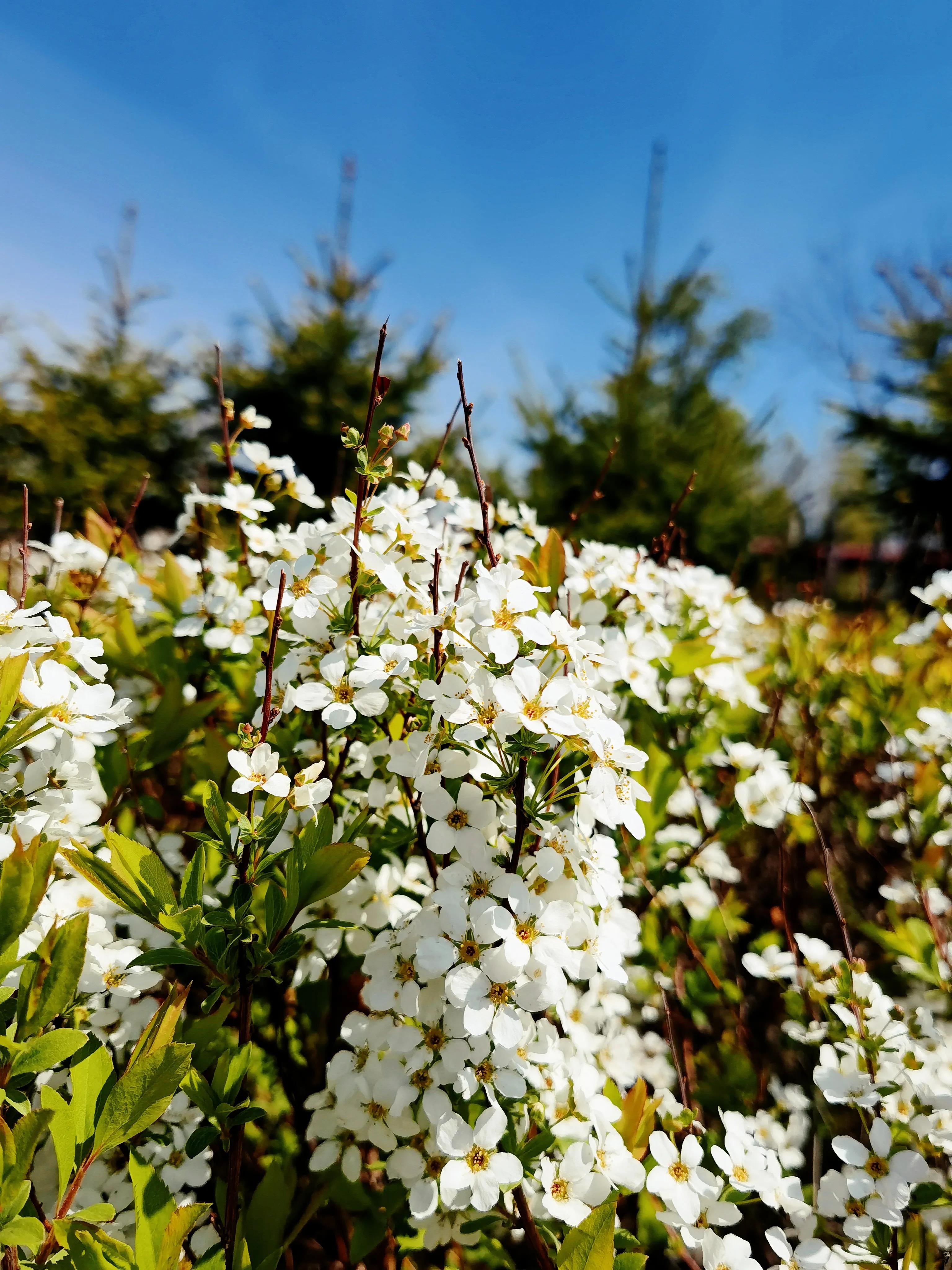 很自律的人,你是一个成熟的人吗语录