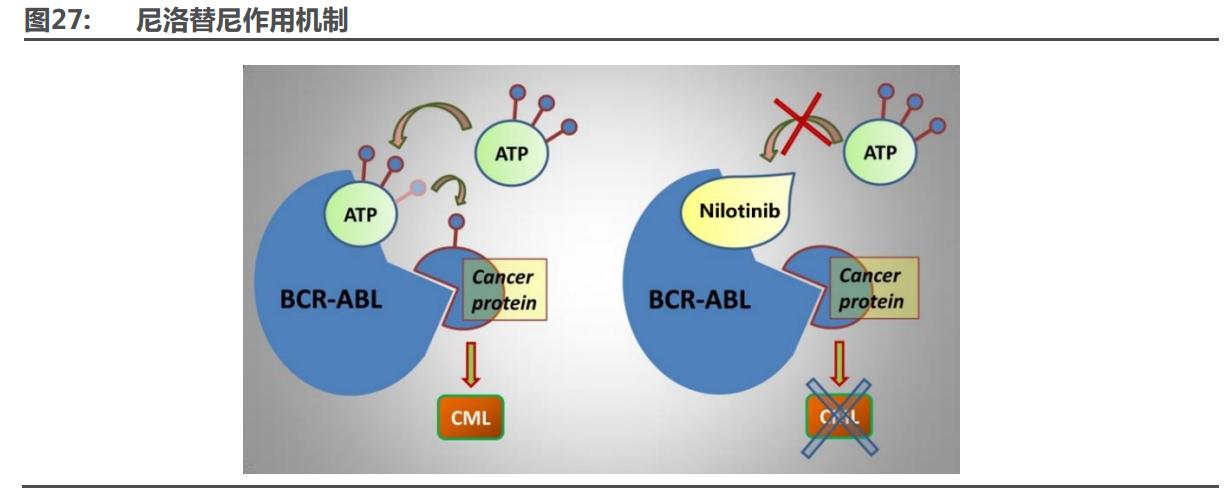 九洲药业能成cdmo龙头吗,在九洲药业做cdmo怎么样
