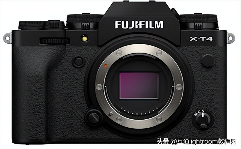 大变焦数码相机拍摄鸟类,最佳风光摄影相机推荐