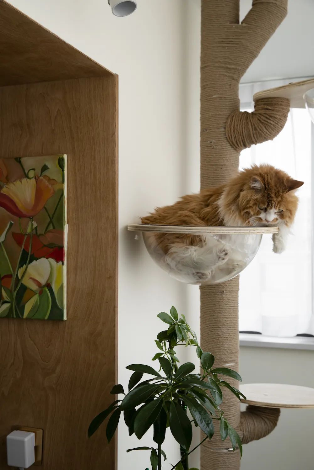 买下58m²学区房算什么，北京妈妈花34W搞“学霸布局”，才是真牛