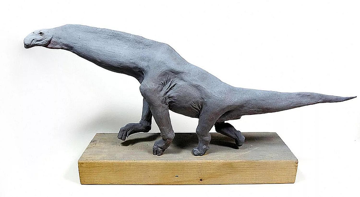 恐龙时代泰坦巨龙与雷龙,泰坦巨龙恐龙化石