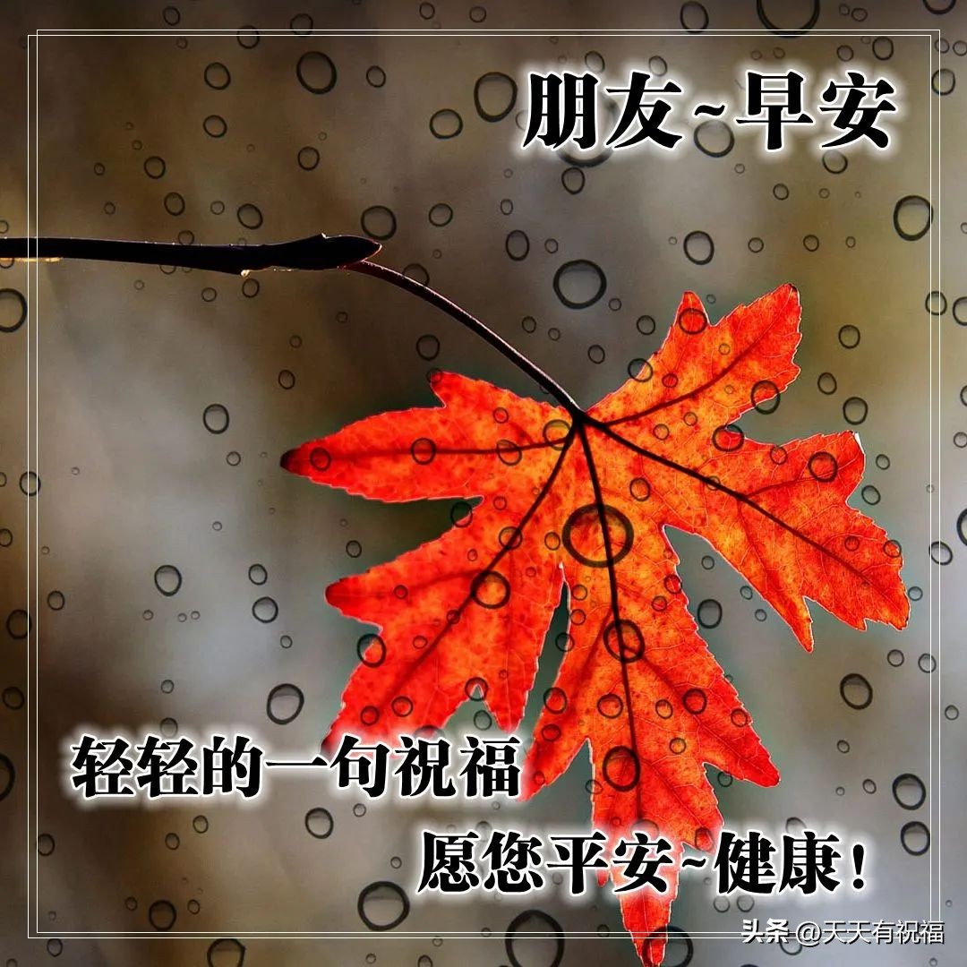 早上好带暧昧问候语动态图片,适合发朋友圈的问候早安动态图片