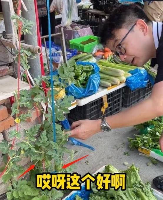 来内地养老的七位港星：农村盖大别墅，免费坐公交，生活很滋润