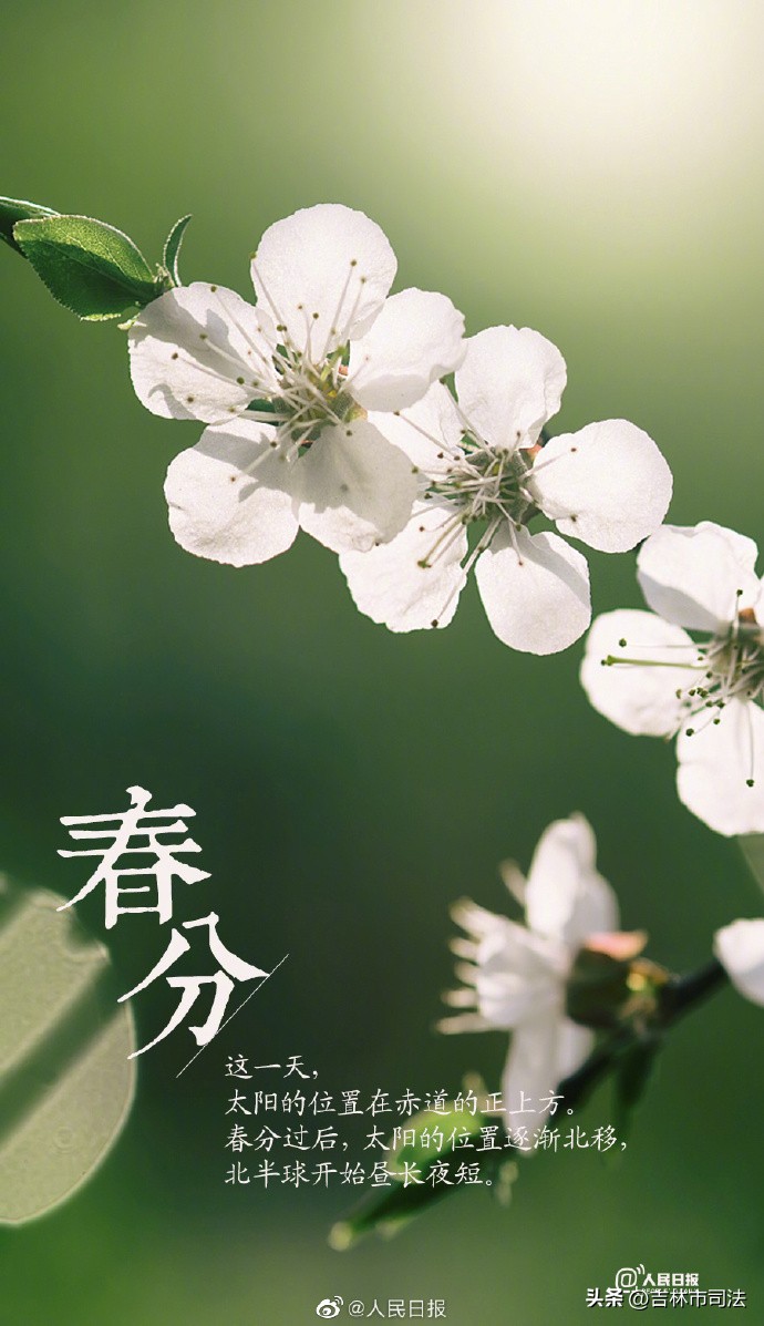 今日春分春暖花开,今日春分不负好春光