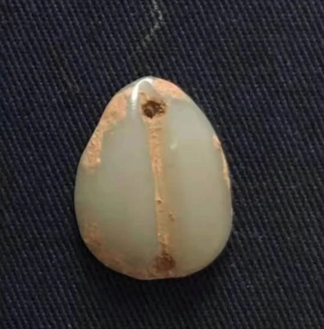 天然贝币真品价格,原始贝币发展史