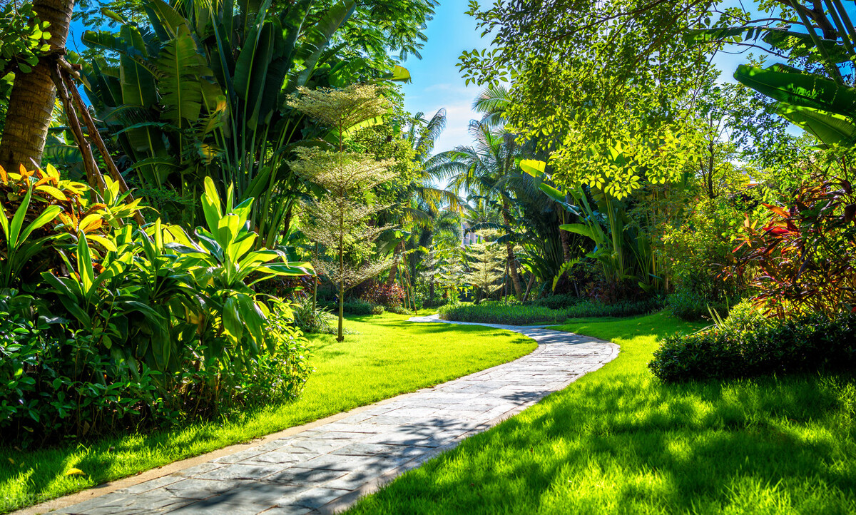 学会正确的健身流程帮助初学者,简单健身知识普及全攻略