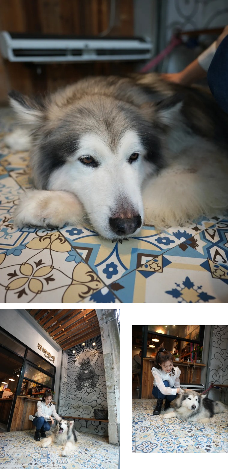 老街石狗咖啡,老街角落咖啡