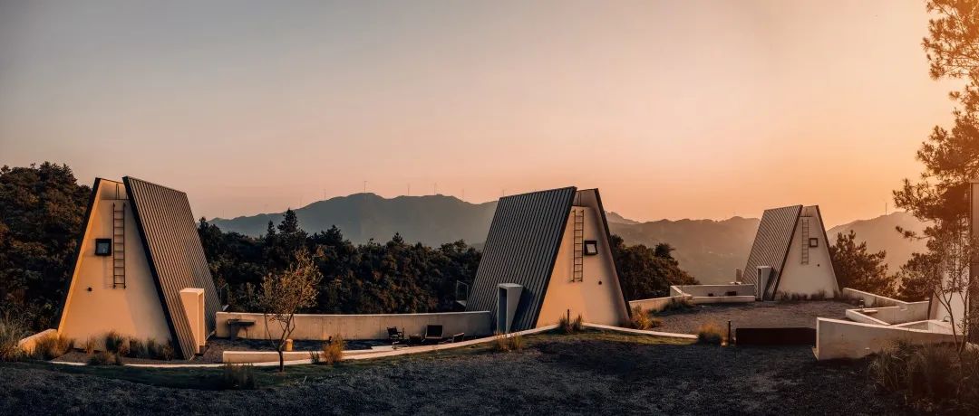 美出新高度再出新辉煌,美出新高度种草