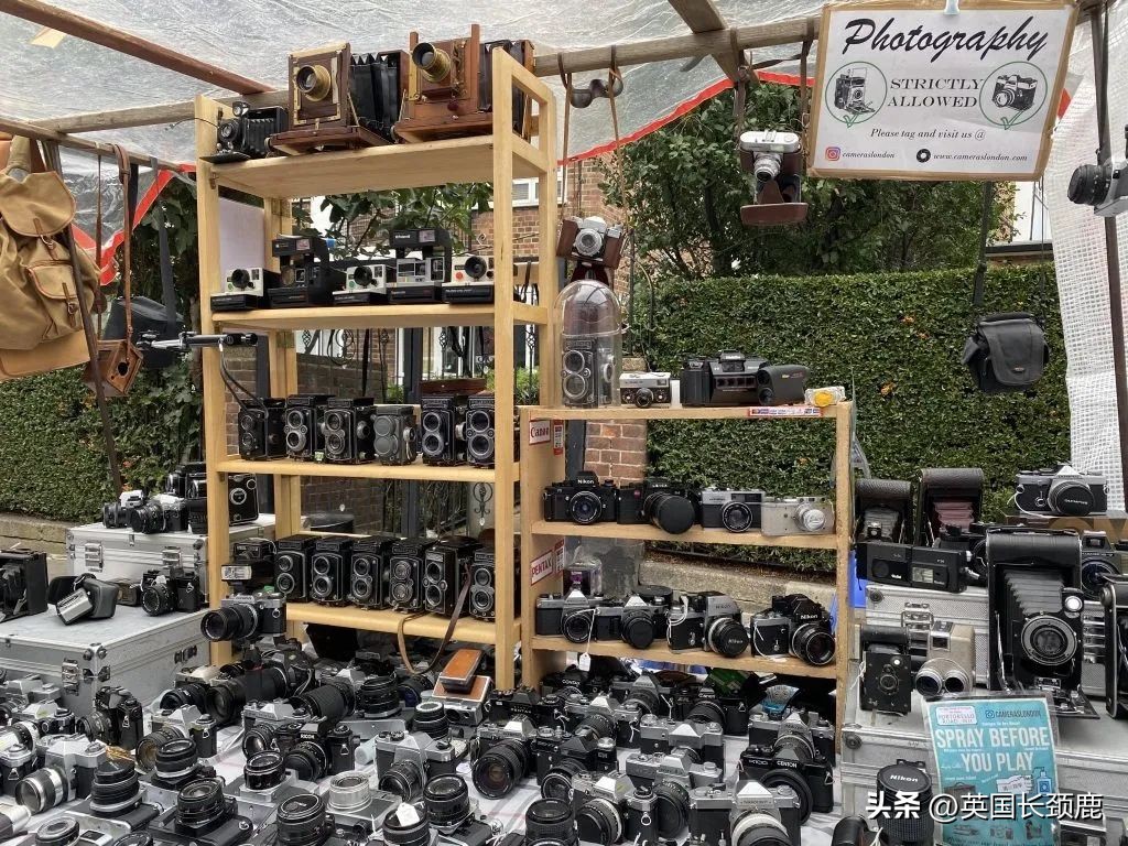 拍落日的胶片相机推荐,胶片机拍风景注意哪些问题