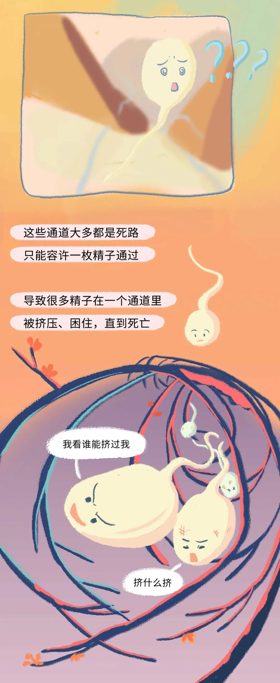 精子进入女生体内的全过程！（漫画）