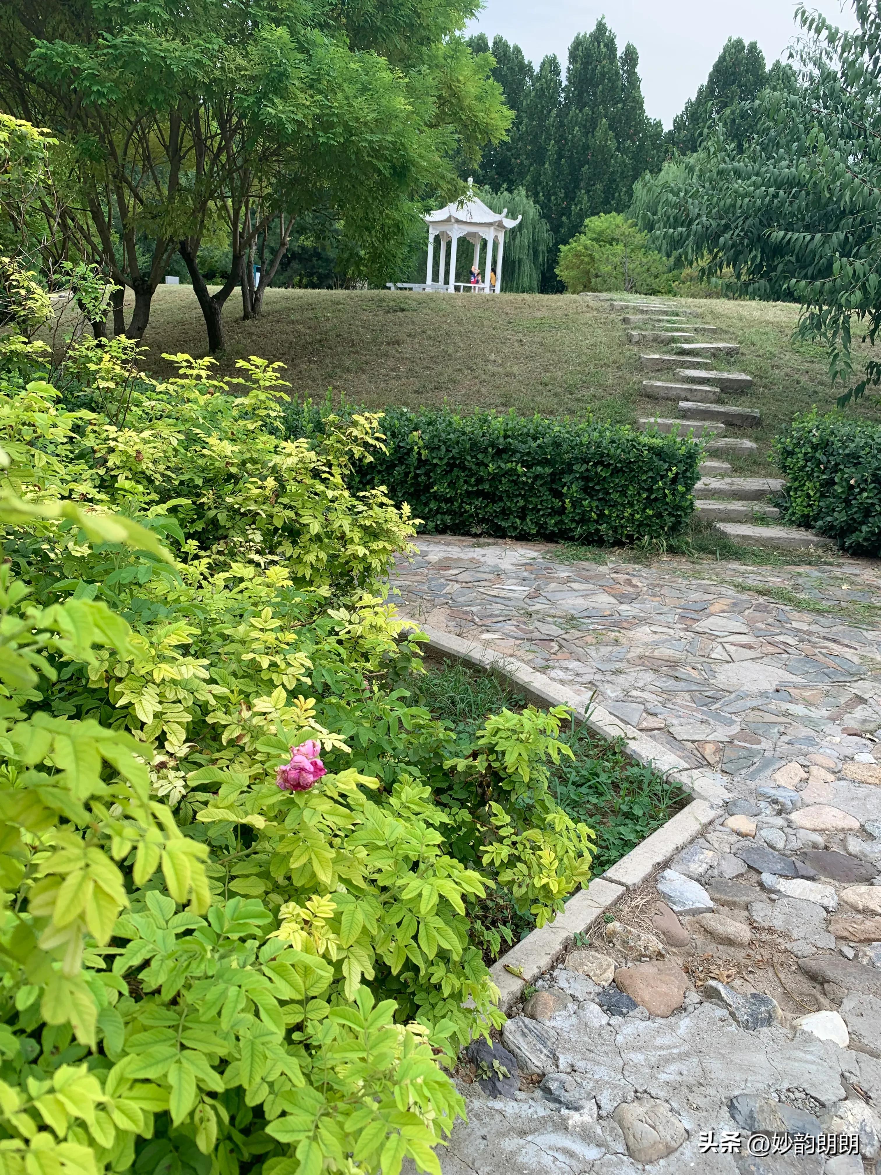 日本已正式开始核污水排海,如何看待日本核废水排海事件