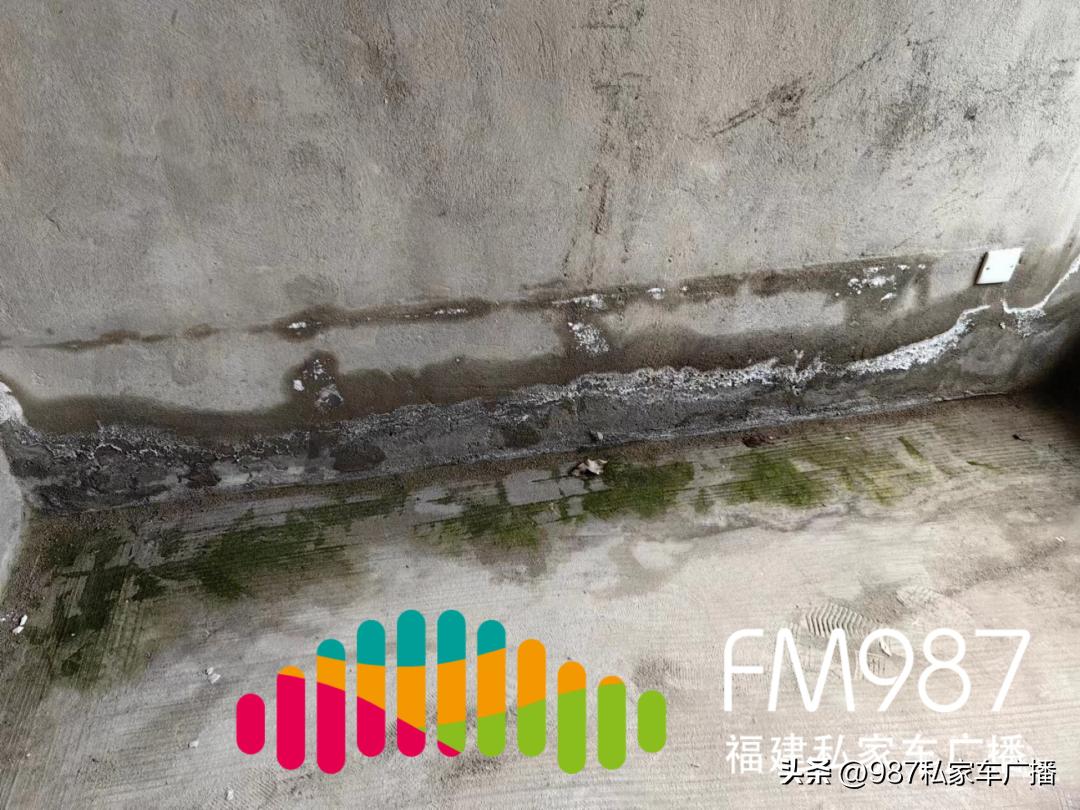 业主反映墙面发霉,一楼业主卧室墙体发霉