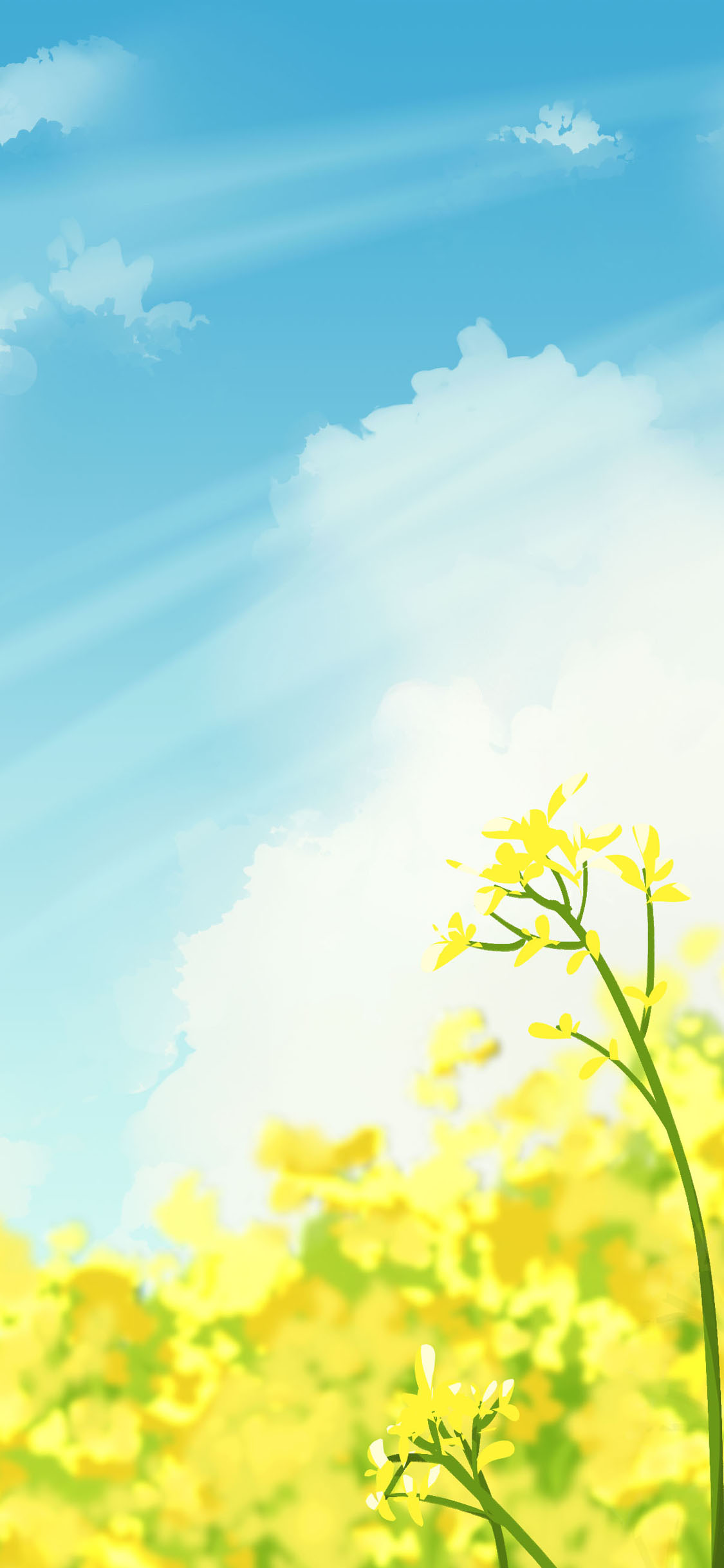 手机型号壁纸图片,169手机壁纸尺寸