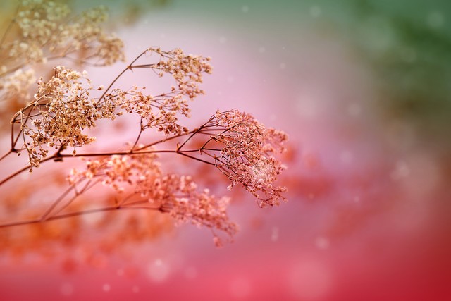 讨厌一个人无需翻脸这样做最合适,厌恶一个人却又不能翻脸