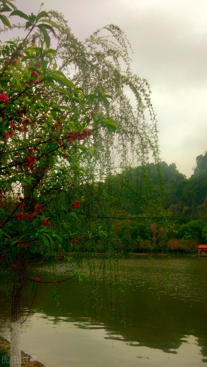 风吹杨柳万千条打一动物,风吹杨柳万千条解析