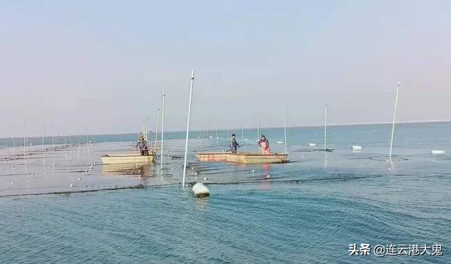 2022年赣榆区未来规划图,赣榆南京规划