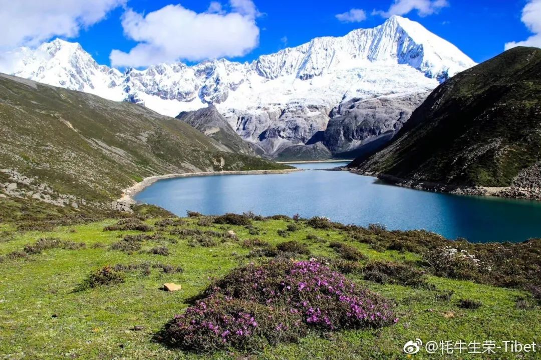 藏西风景,藏西美景视频大全