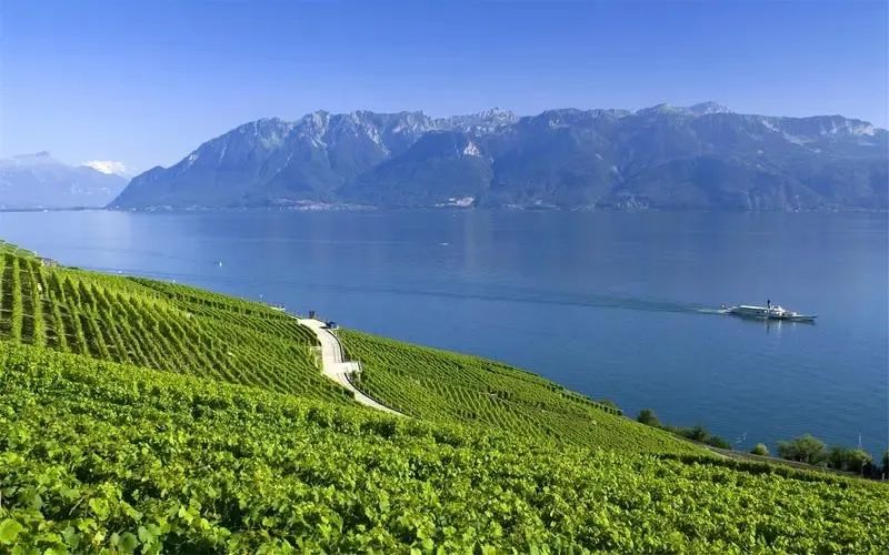 形容夏天的唯美句子简短,夏天午后仰望天空的唯美句子